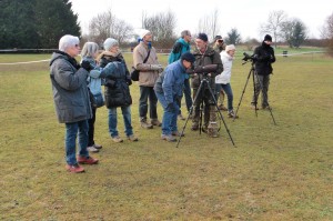 Sortie oiseaux CORIF